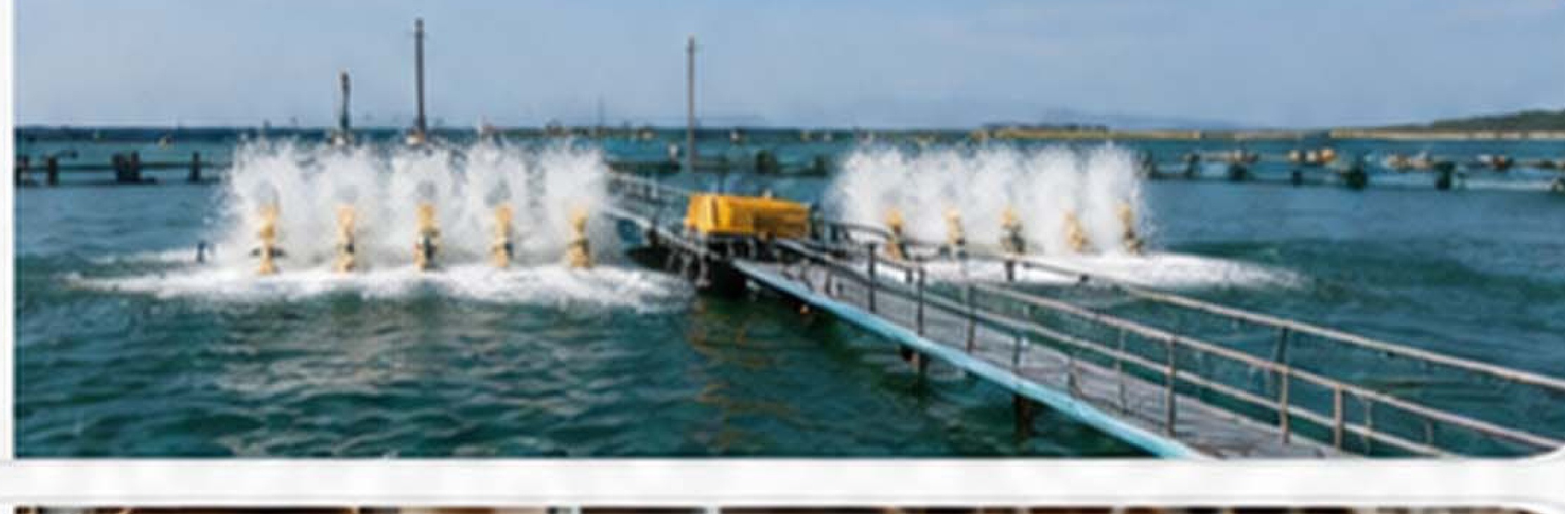 Commercial Shrimp and Fish Aquaculture Ponds