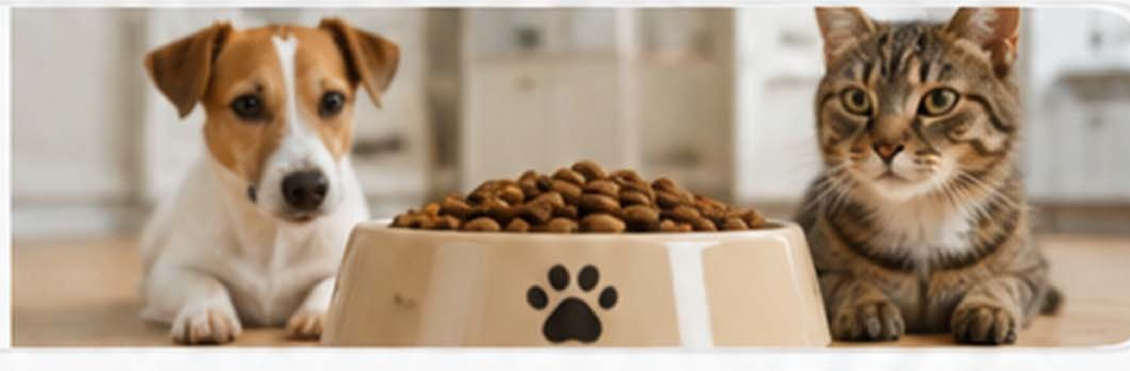 Pet Food Manufacturing Dog and Cat